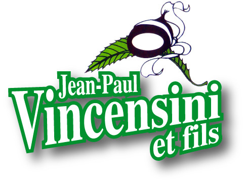 JEAN-PAUL VINCENSINI ET FILS