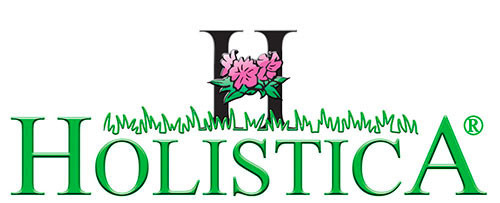 HOLISTICA.jpg