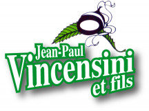 Castagna Di Vallerustie