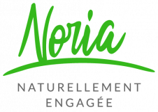 logo-noria-Q.png