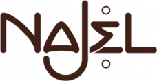 logo najel 290x180px.png