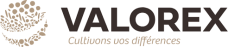valorex.png