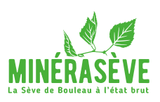 logo flate design.png