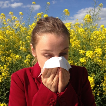 Les compléments alimentaires pour aider a combattre les allergies de printemps