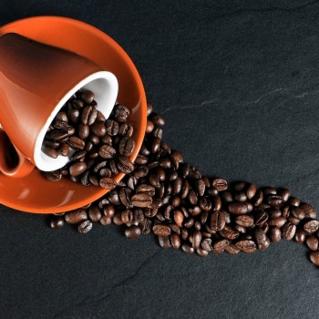 Le Café Bio et Équitable : comprendre les enjeux