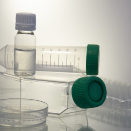 Bio-éprouvette ou lien à la terre ?