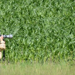 Ça donne à réfléchir : La Bio, la paille et la poutre