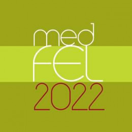 medfel 1 logo.jpg