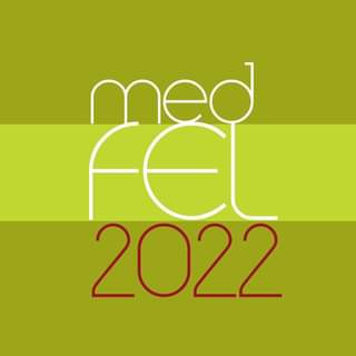 medfel 1 logo.jpg