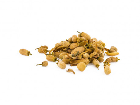 Fleurs a croquer fleurs d'oranger 