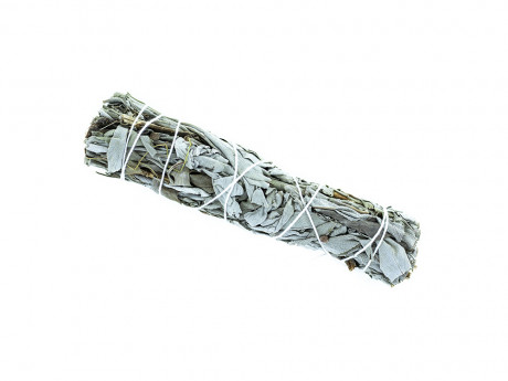 Tresse de sauge blanche de californie 