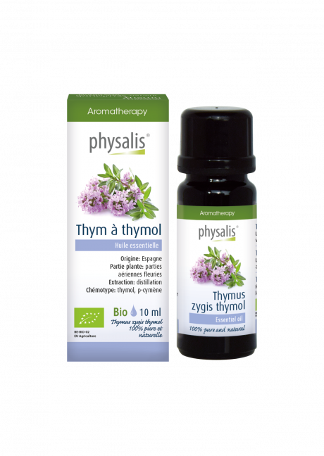 Thym à thymol