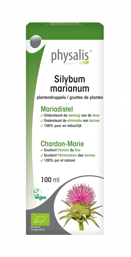 Silybum marianum