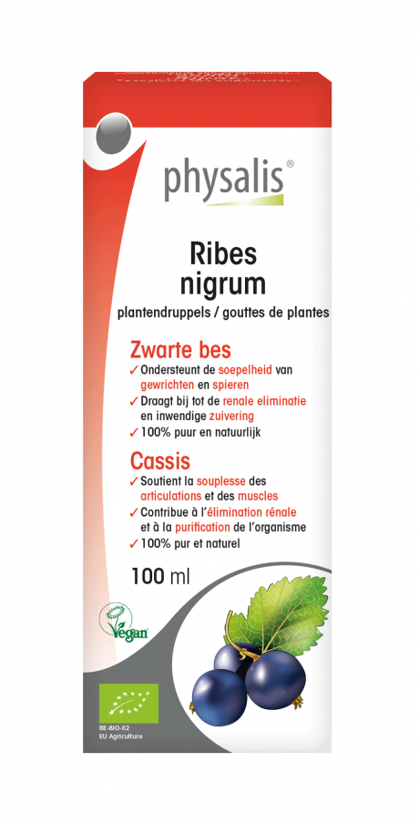 Ribes nigrum