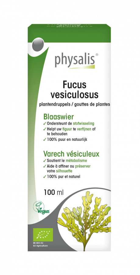 Fucus vesiculosus