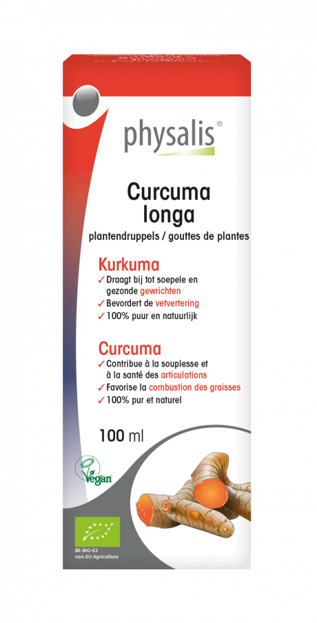 Curcuma longa