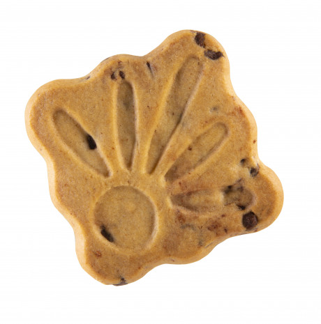 P'tit Biscuit pépites chocolat noir