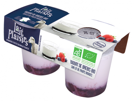 Yaourt au lait entier de brebis sur lit de fruits rouges