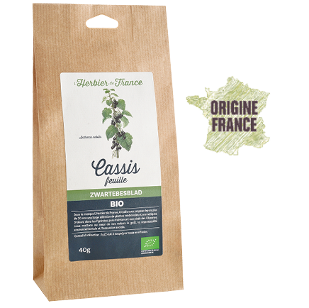 Cassis_feuilles_LherbierDeFrance_Bio_Origine_france.png