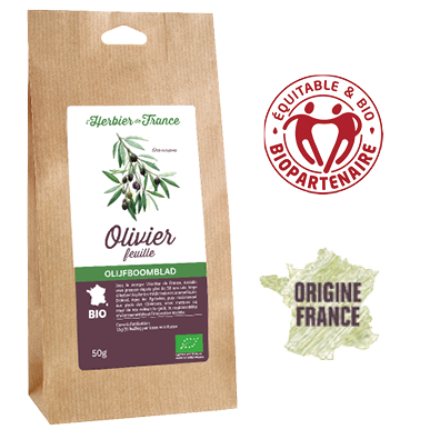 OlivierFeuillesLherbierDeFrance_BioOrigineFrance.png