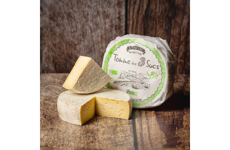 TOMME-1.jpg