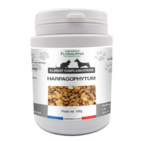 Harpagophytum 100g pour chien et chat