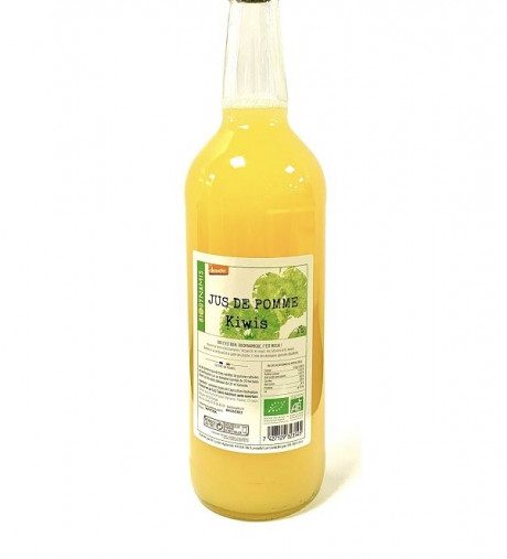 Jus-de-pomme-kiwi-600x750-1.jpeg