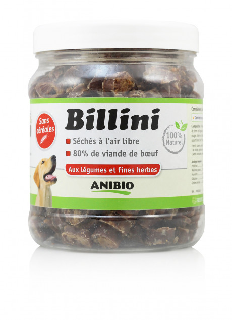 Billini