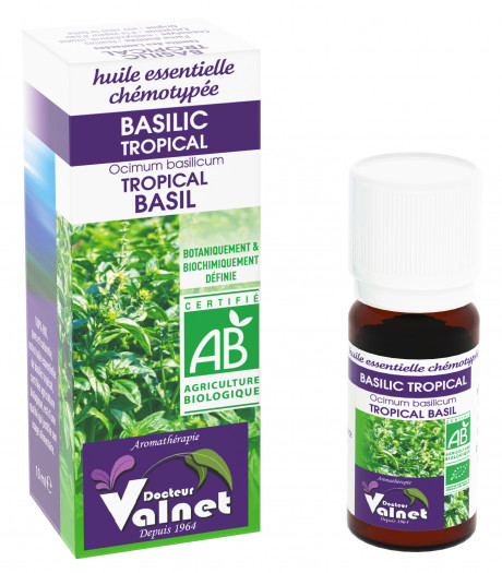 Basilic