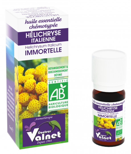 Hélichryse Italienne