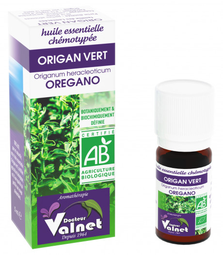 Origan Vert 