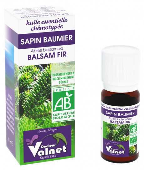 Sapin Baumier 