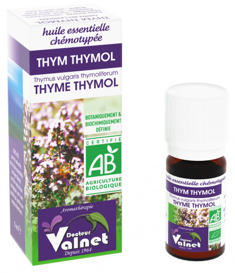 Thym à thymol