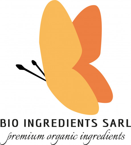 Noix du Brésil medium/midget