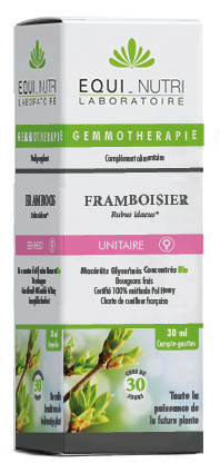 Framboisier