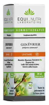 Genévrier