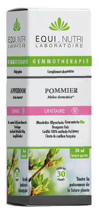 Pommier