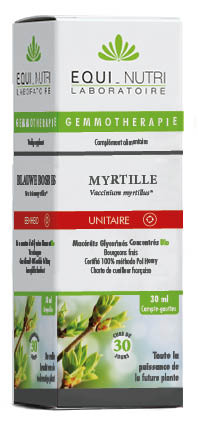 Myrtille