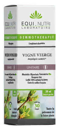 Vigne Vierge