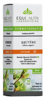 Bruyère