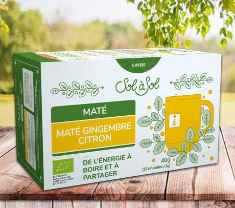maté-gingembre-citron.jpg