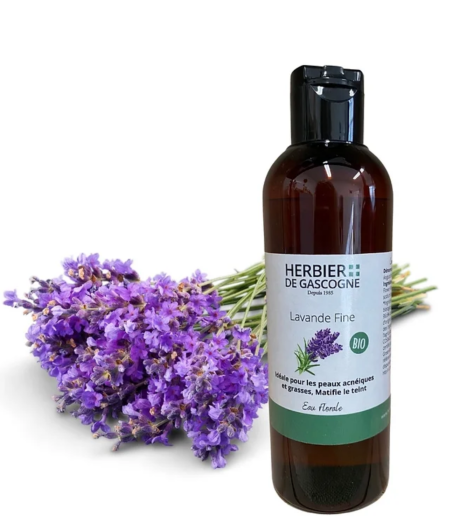 Capture d’écran 2022-12-14 à 17.47.19.png