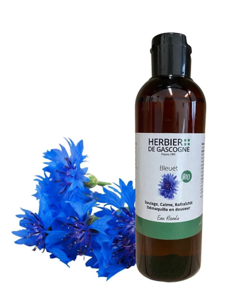 Capture d’écran 2022-12-14 à 17.46.51.png