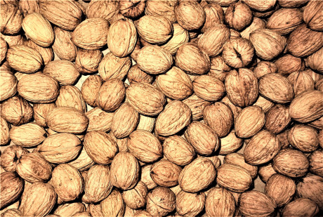 walnuts-1884664_1920.jpg