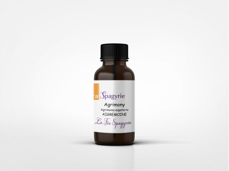 Agrimony-scaled.jpg