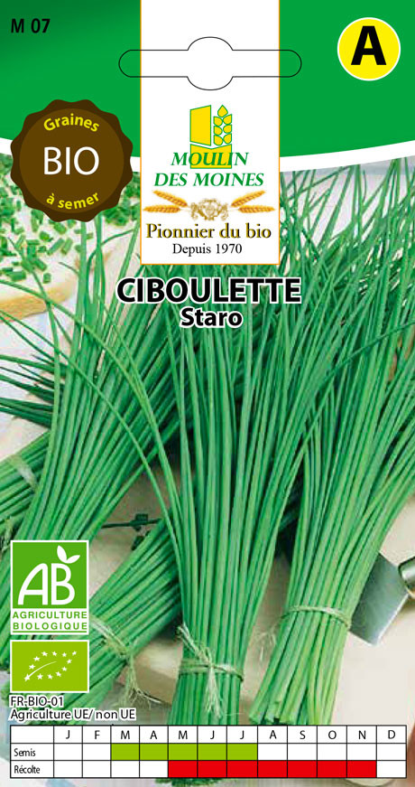 SEMENCE CIBOULETTE STARO 0.4G AB