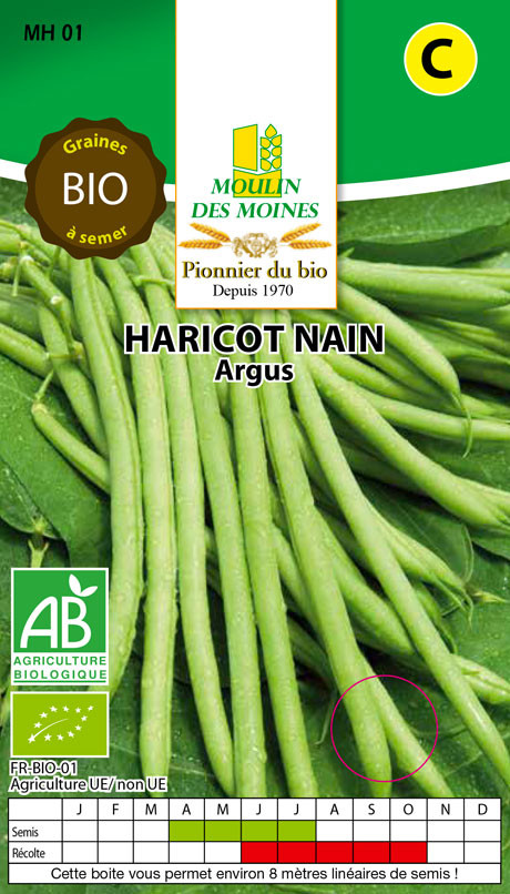 SEMENCE HARICOTS NAINS ARGUS 125G AB