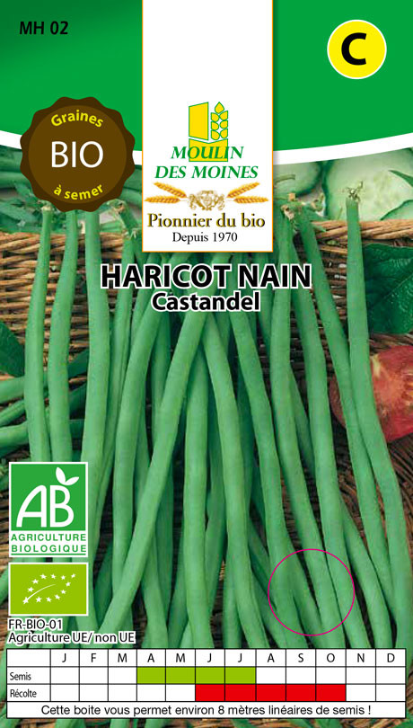 SEMENCE HARICOTS NAINS CASTAN 125G AB