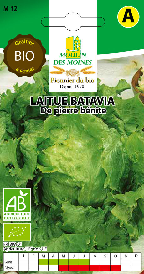 SEMENCE LAITUE BATAVIA 3G AB