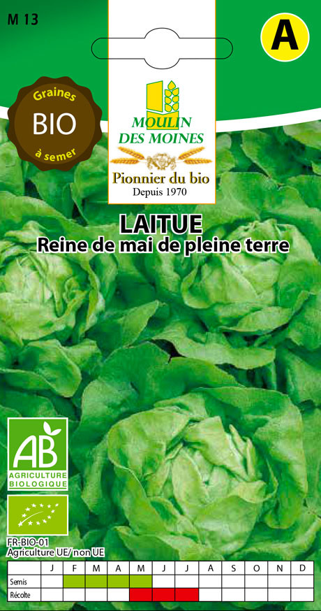 SEMENCE LAITUE REINE DE MAI 3G AB